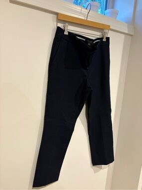 Ann Taylor Navy Dress Pants